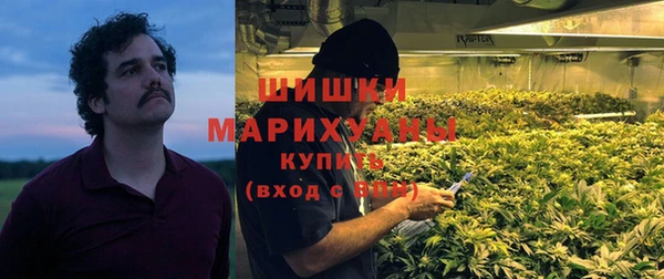 шишки Володарск