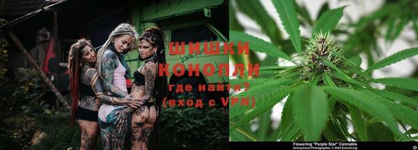 шишки Володарск