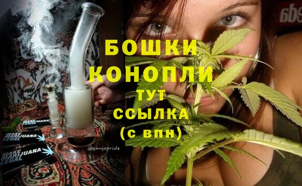 шишки Володарск