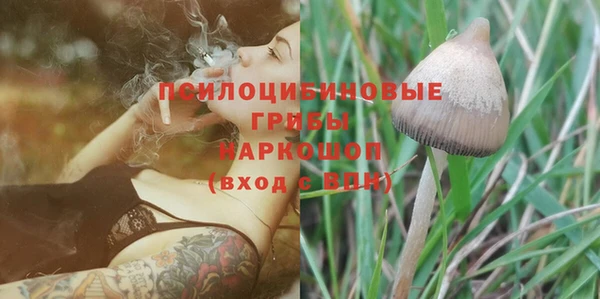 шишки Володарск